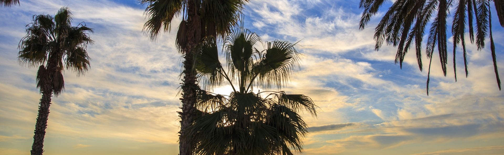 accessible-accommodation-in-costa-de-la-luz-banner