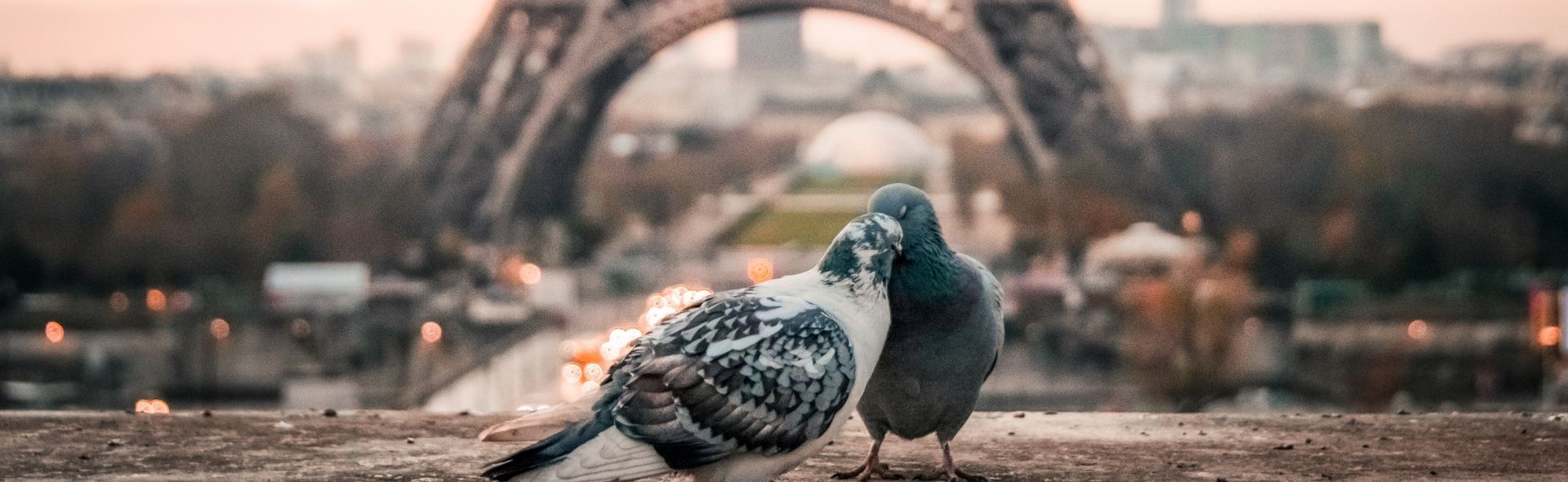 accessible-accommodation-in-paris-banner