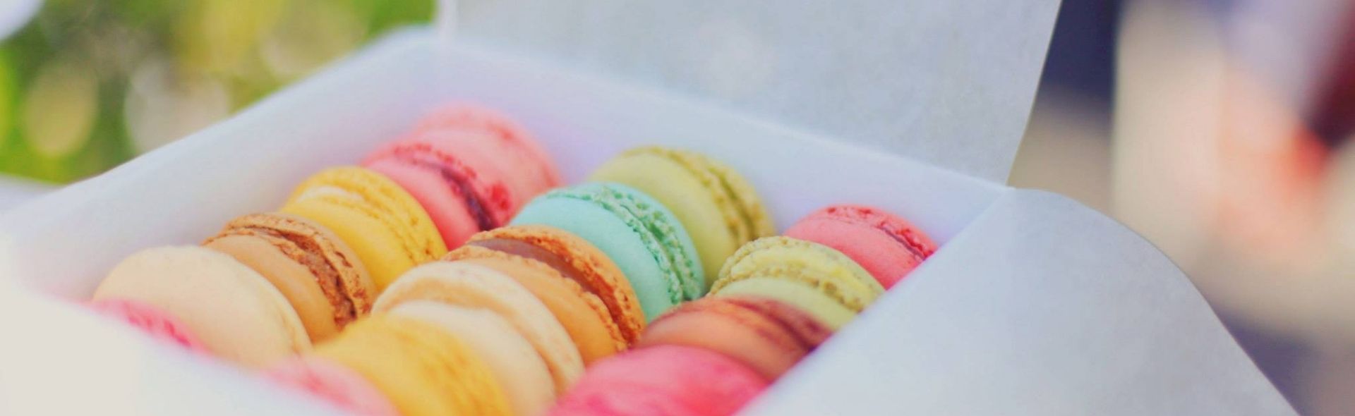 accessible-holidays-in-france-banner