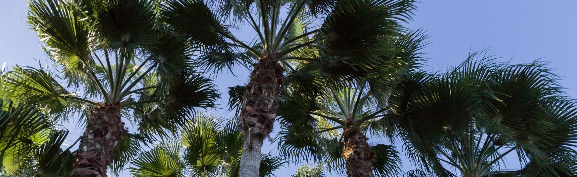 accessible-holidays-in-limassol-banner