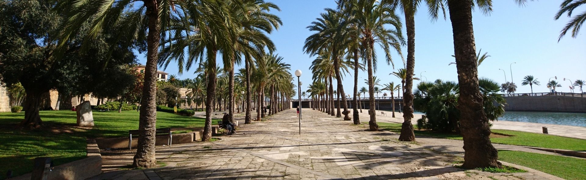 accessible-holidays-in-palma-banner