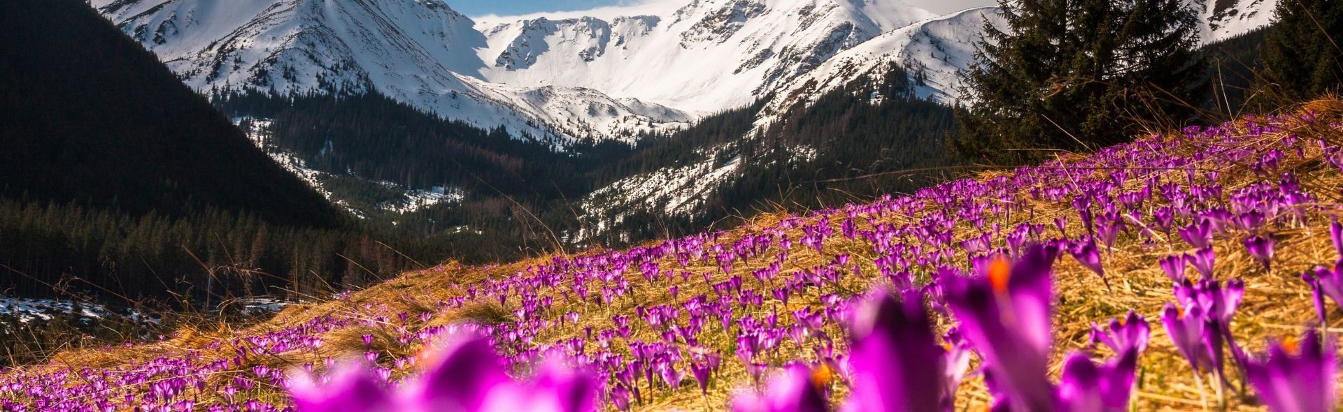 accessible-holidays-in-poland-banner