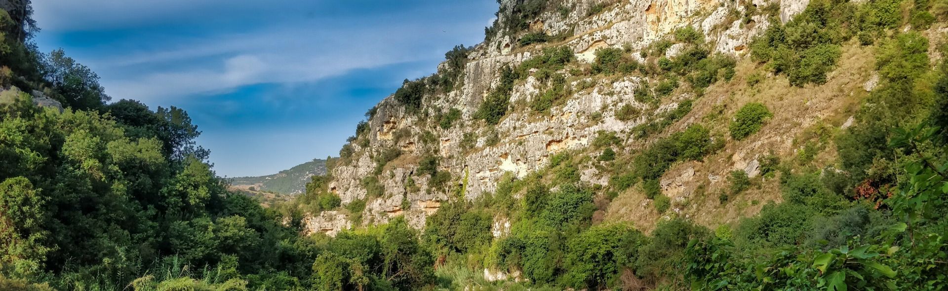 local greenery landscape
