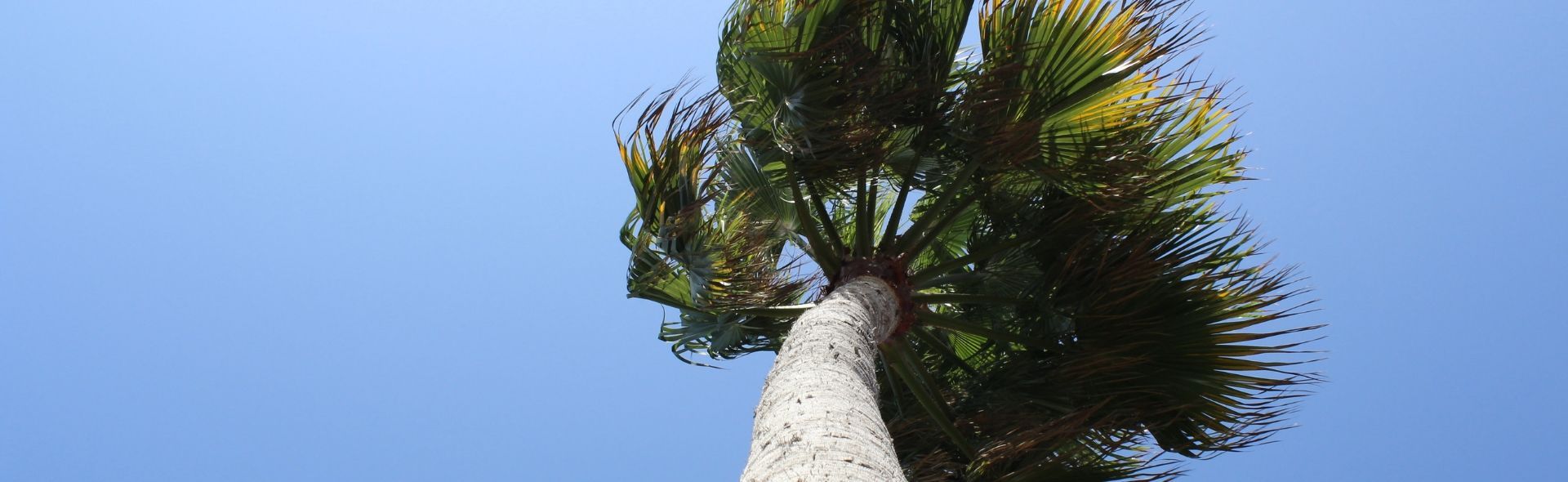 adapted-facilities-in-fuerteventura-banner