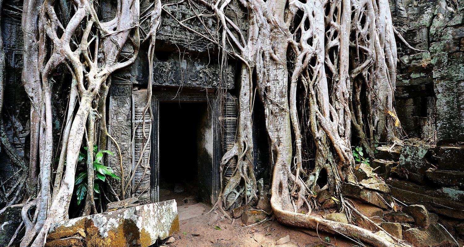 door way with tree roots growing around it