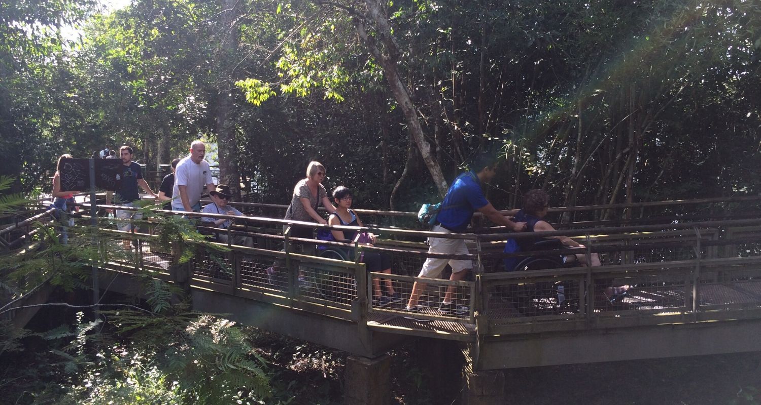 wheelchair access through the jungle