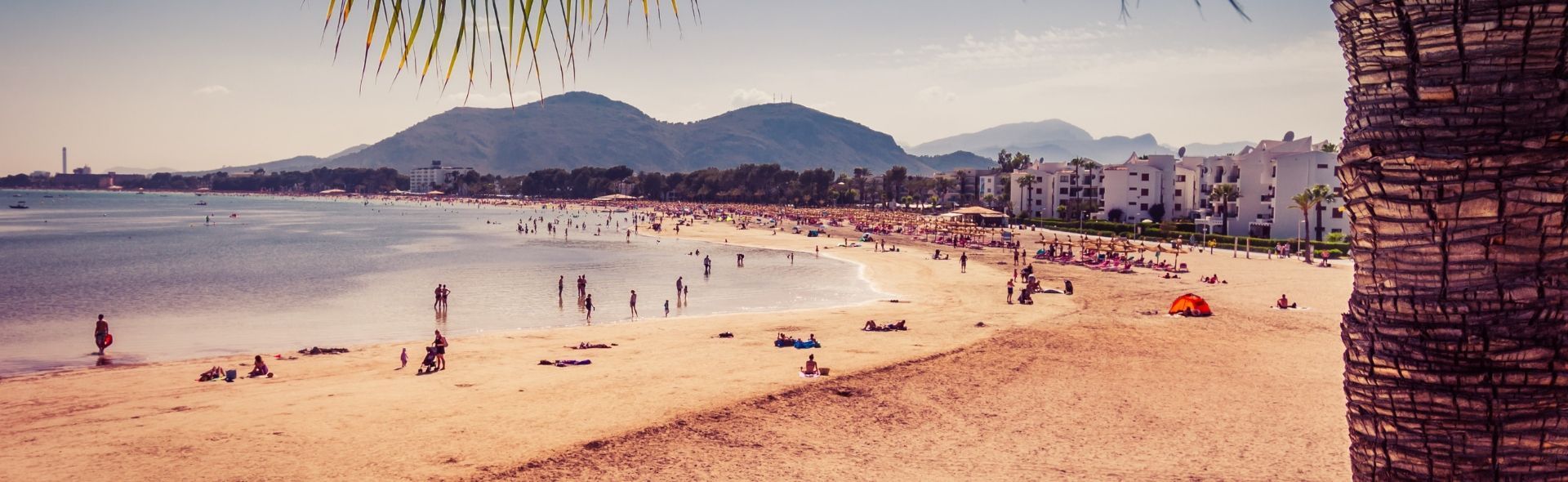 beach-holidays-in-alcudia-banner