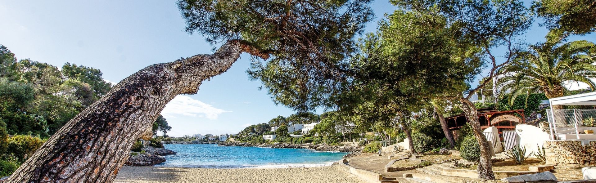 beach-holidays-in-cala-dor-banner