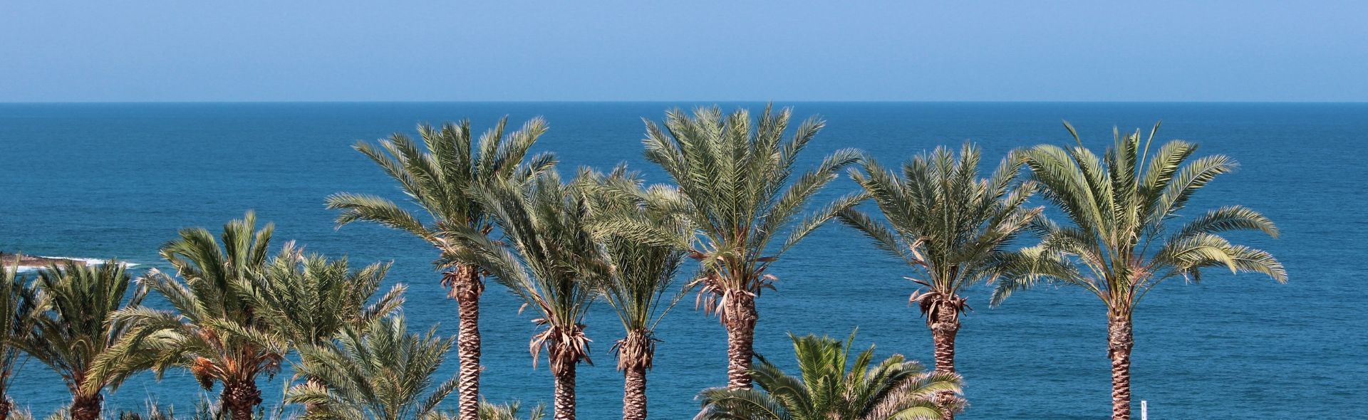 beach-holidays-in-paphos-banner