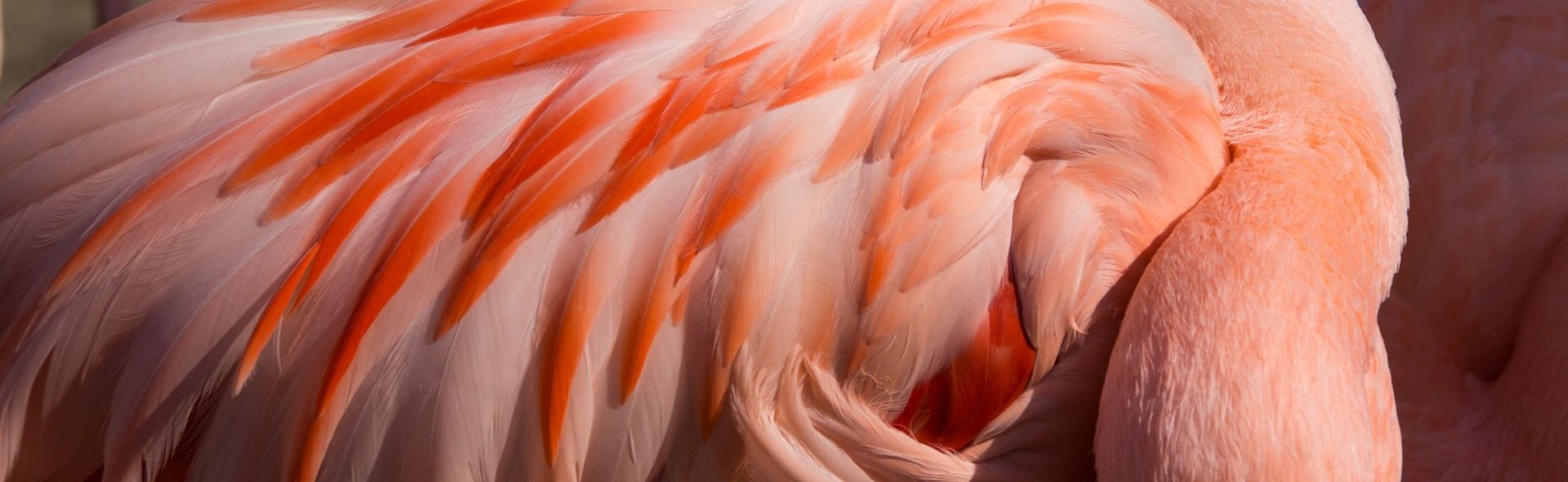 disabled-accommodation-in-hanover-banner