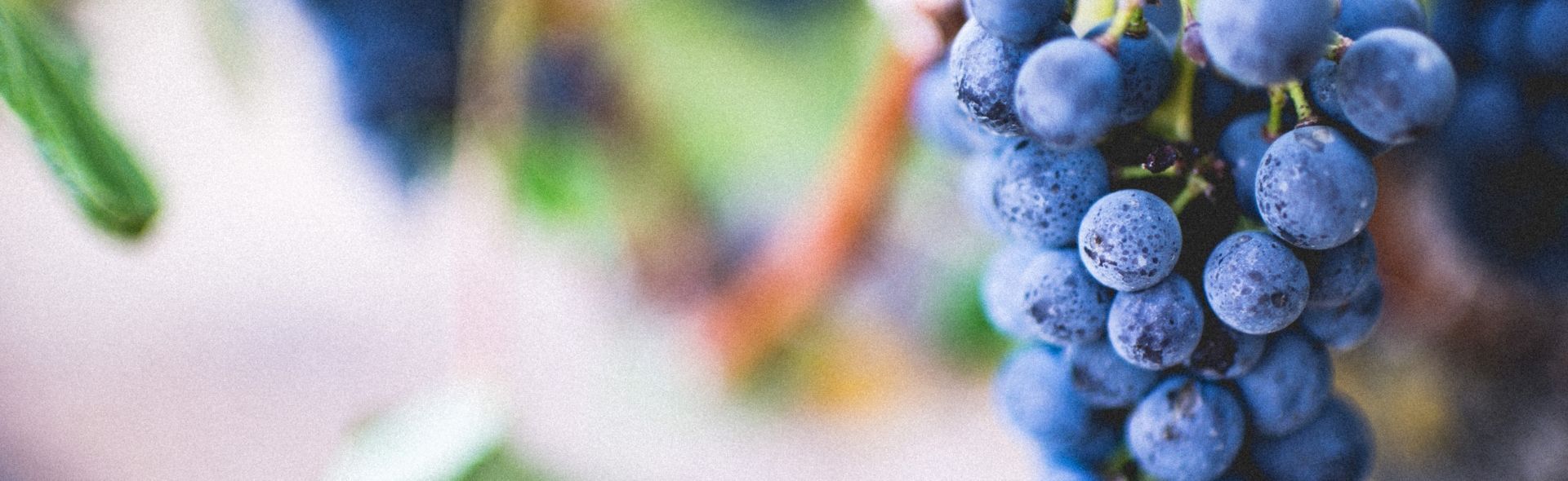 disabled-holidays-in-france-banner