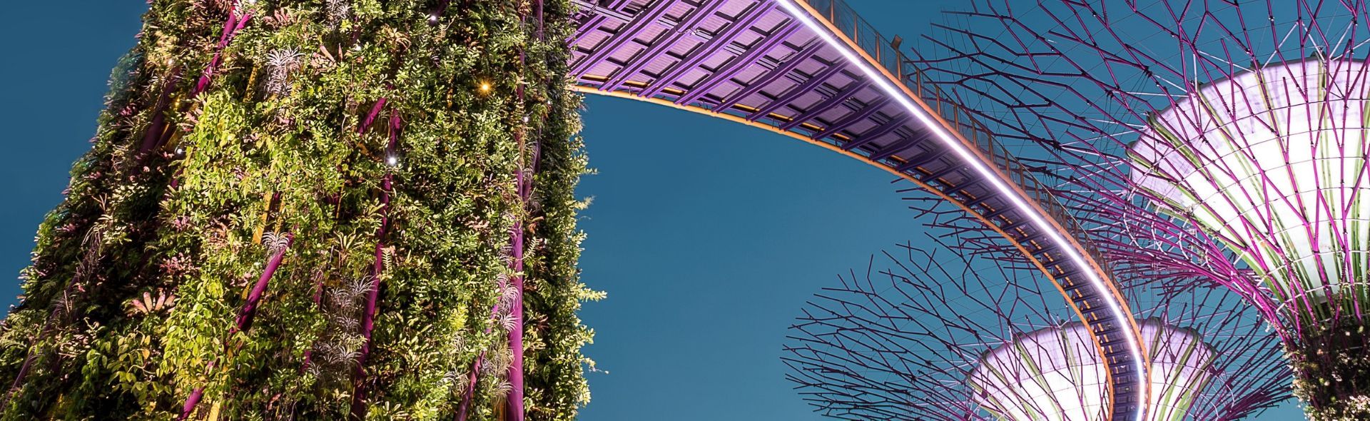 disabled-holidays-in-singapore-banner