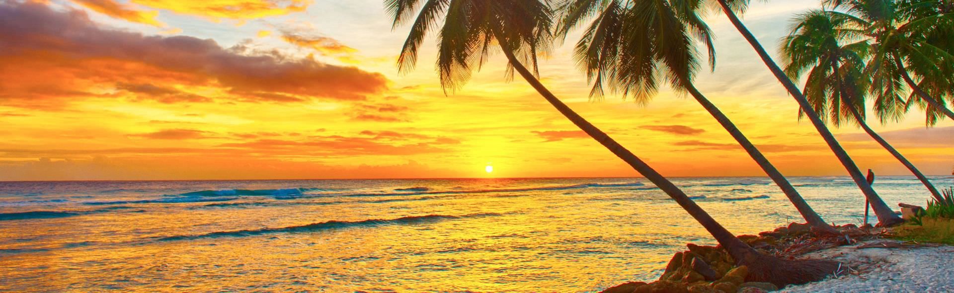 disabled holiday by the beach