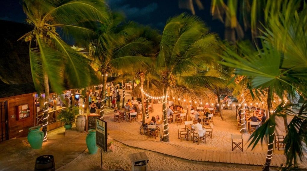 Dolphin Suites Curacao Enable Holidays