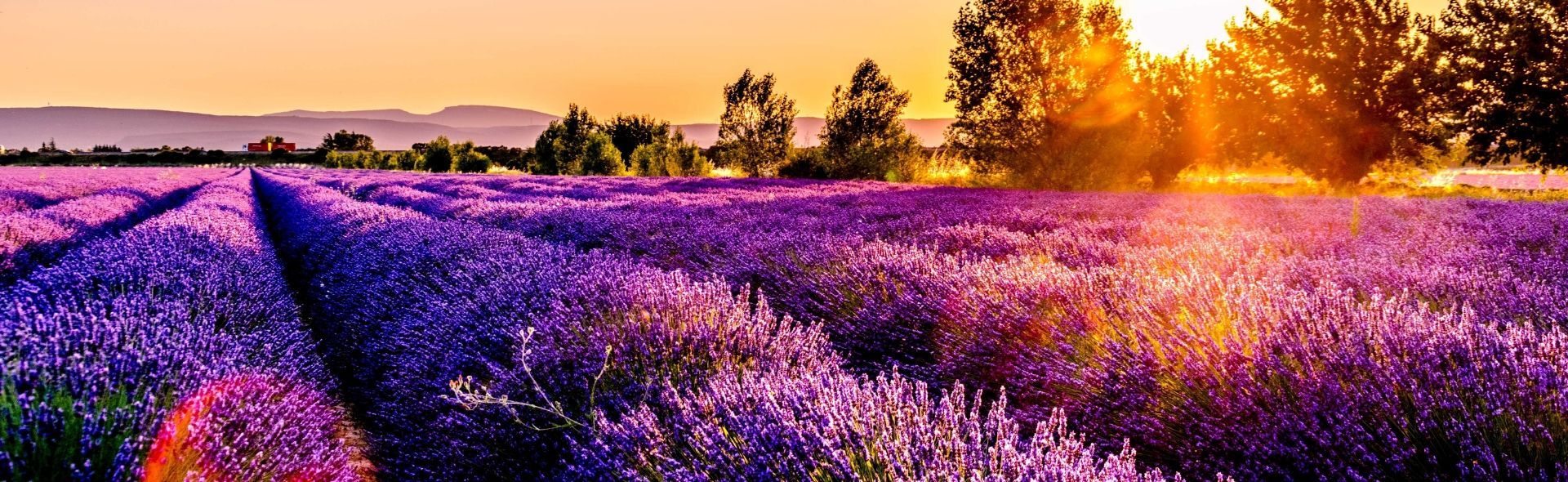 holidays-in-the-french-countryside-banner