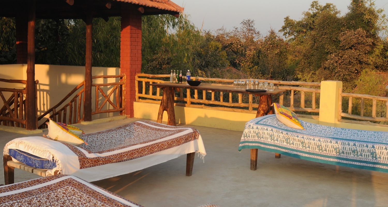 Rooftop terrace with a view of the forest