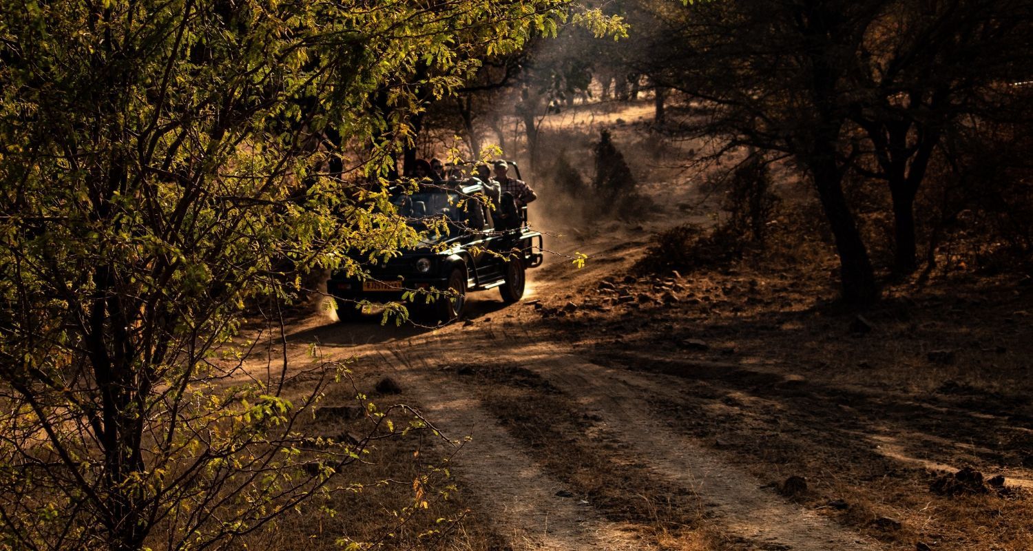 Jeep travelling along a dirt road