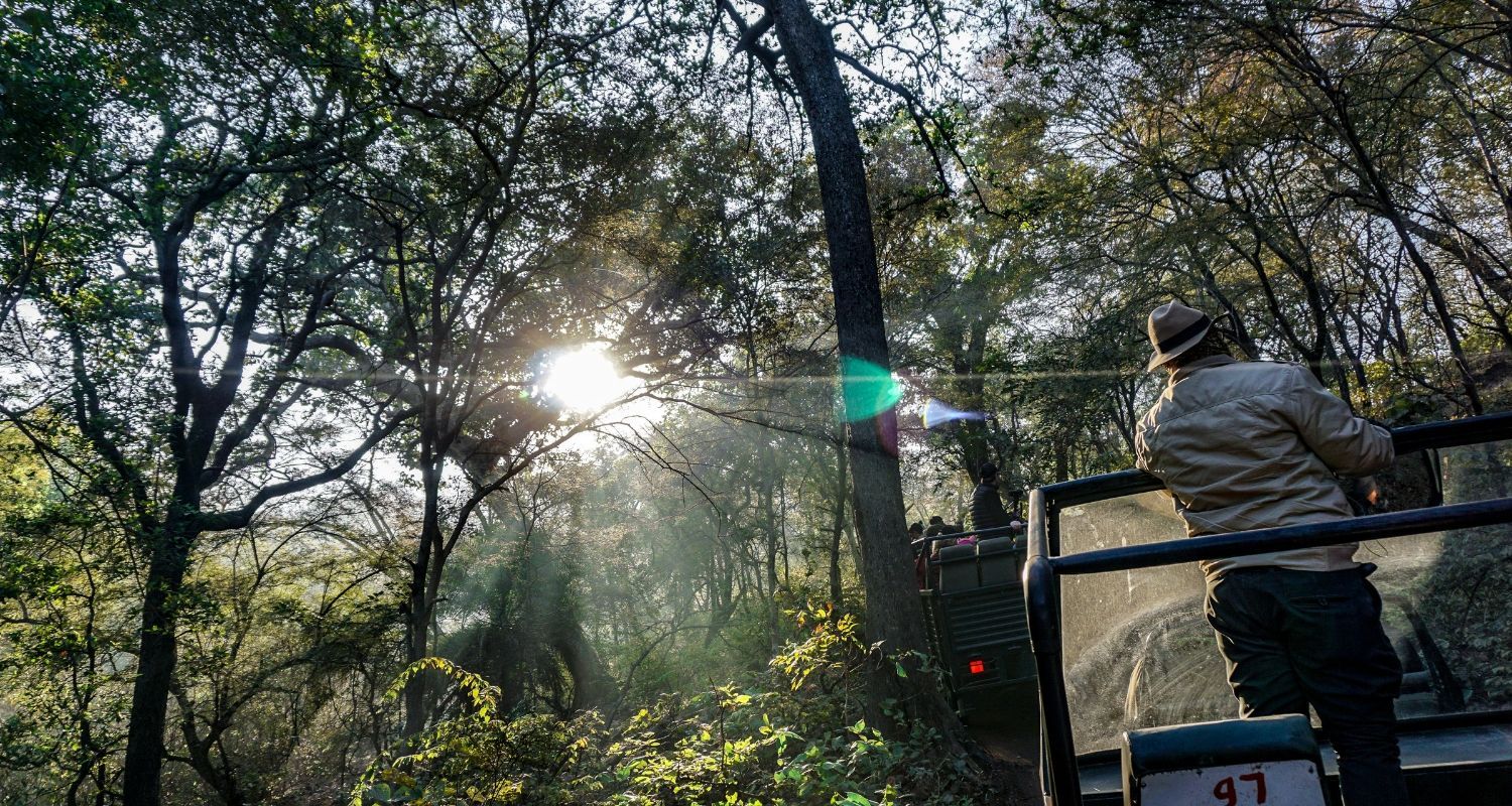 Jeeps making their way through the National Park