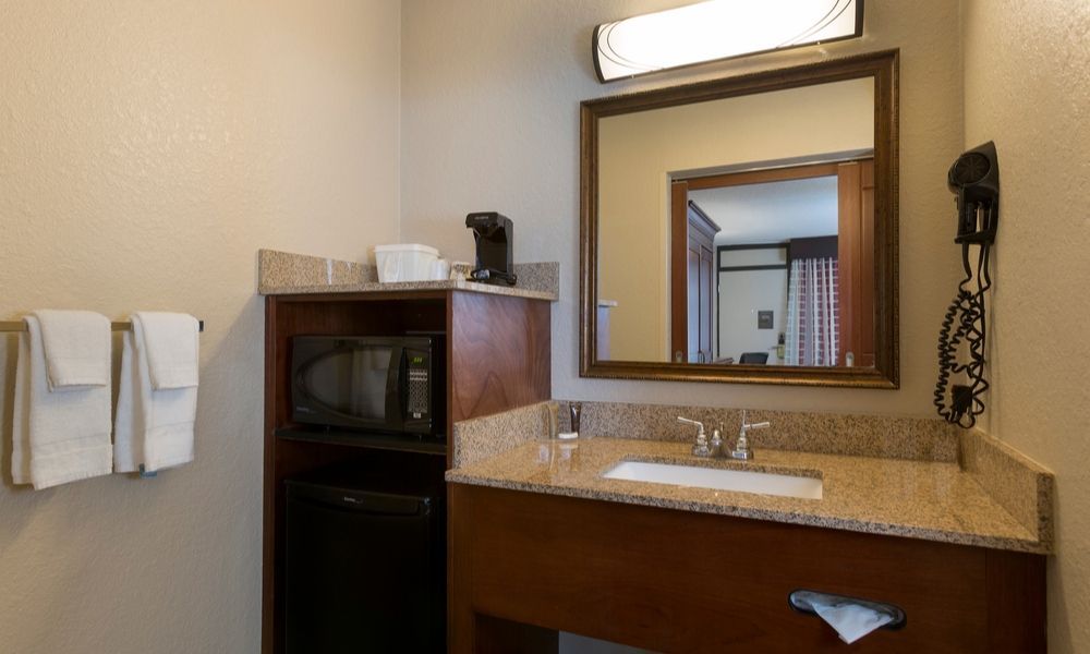 hotel amenities including a microwave, fridge and sink
