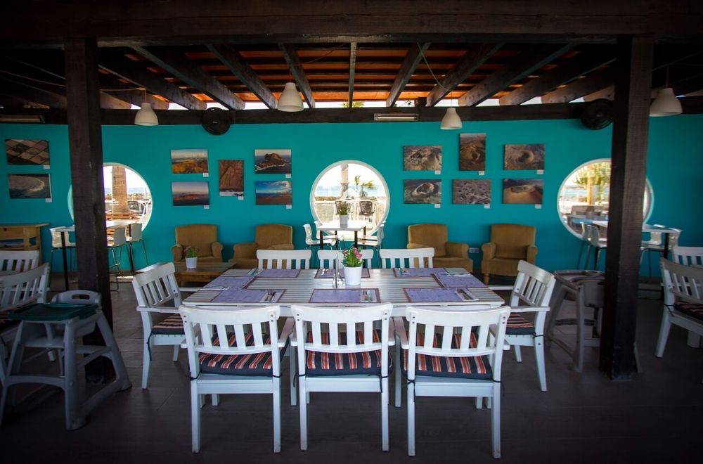 indoor restaurant with turquoise walls