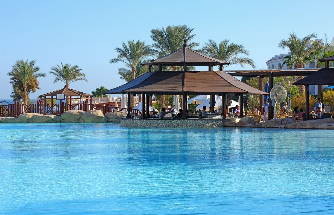 outdoor swimming pool and pool bar