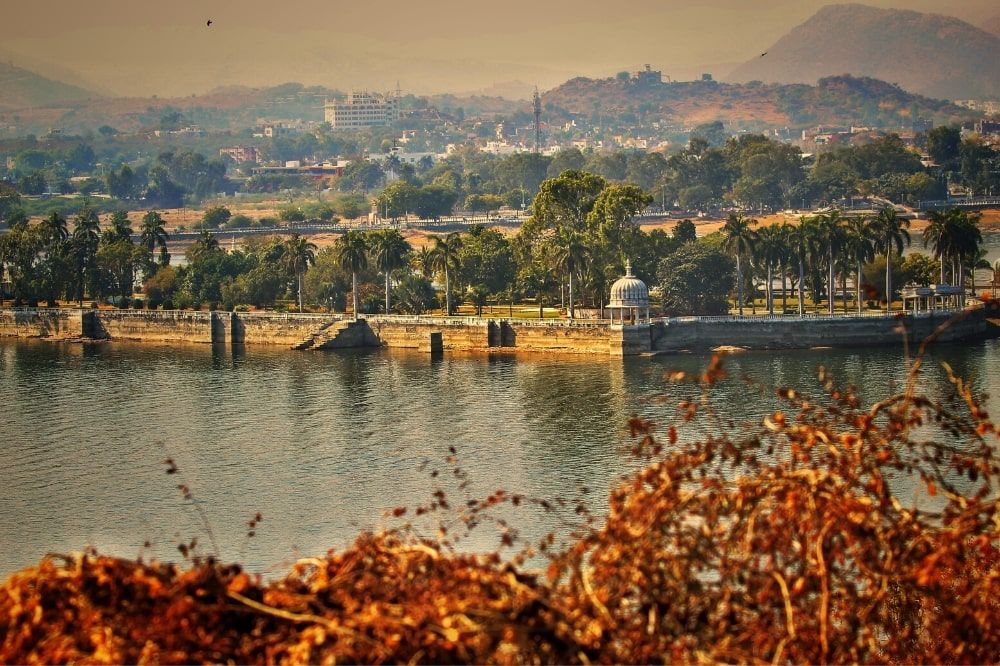 Autumn leaves in front of a large river and vibrant city