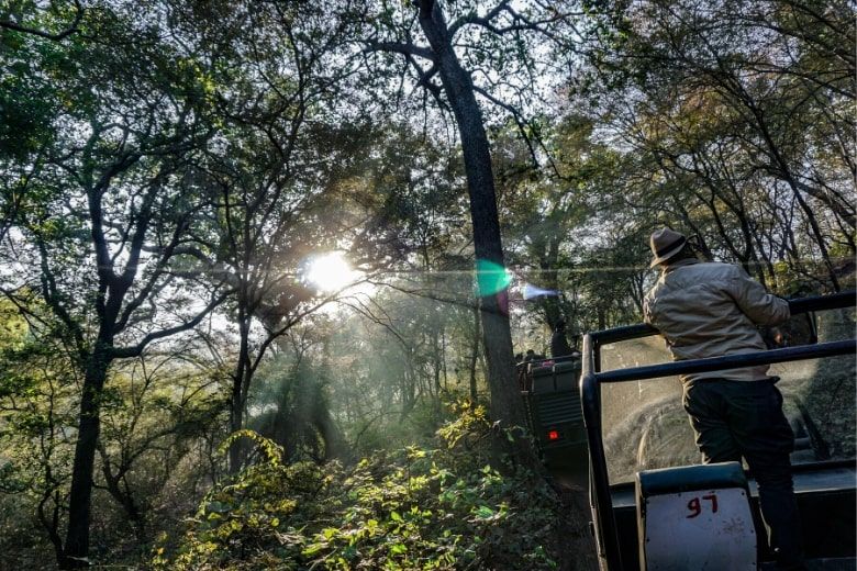 Accessible holiday at Wildlife Safari Tour in India