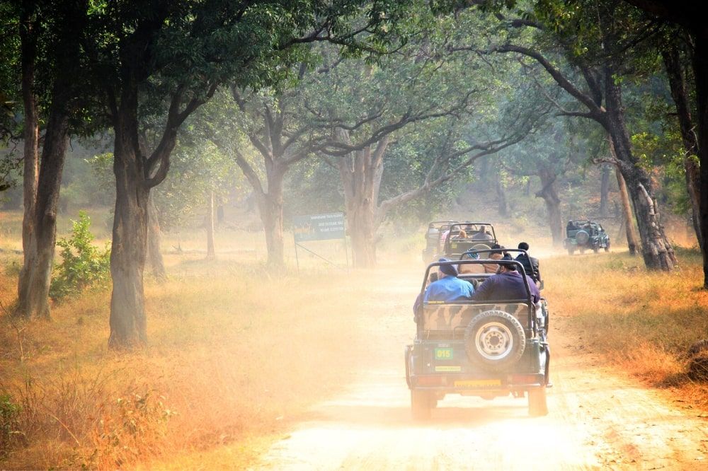 A Jeep travelling along a dusty dirt road