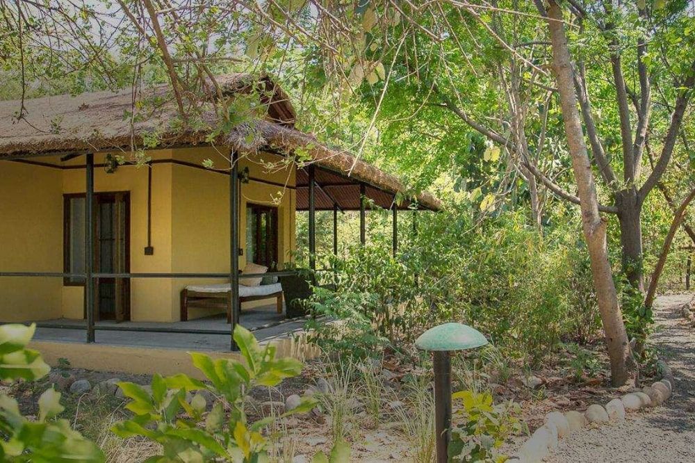 Jungle cabin surrounded by trees
