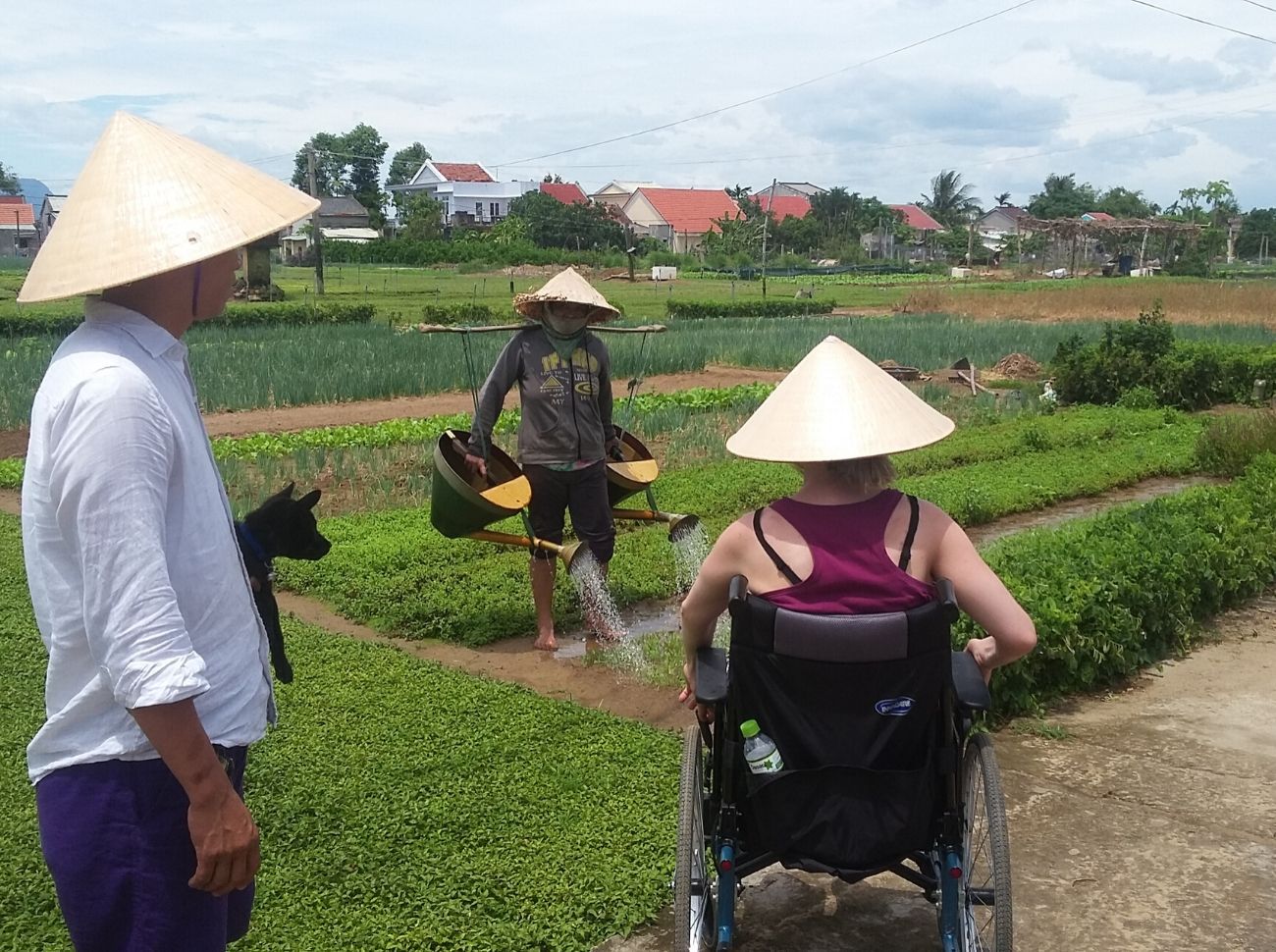wheelchair user observing farm work