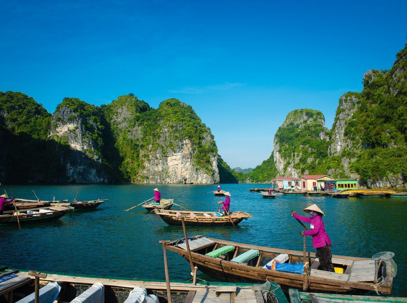 boats docked in the Halong Bay