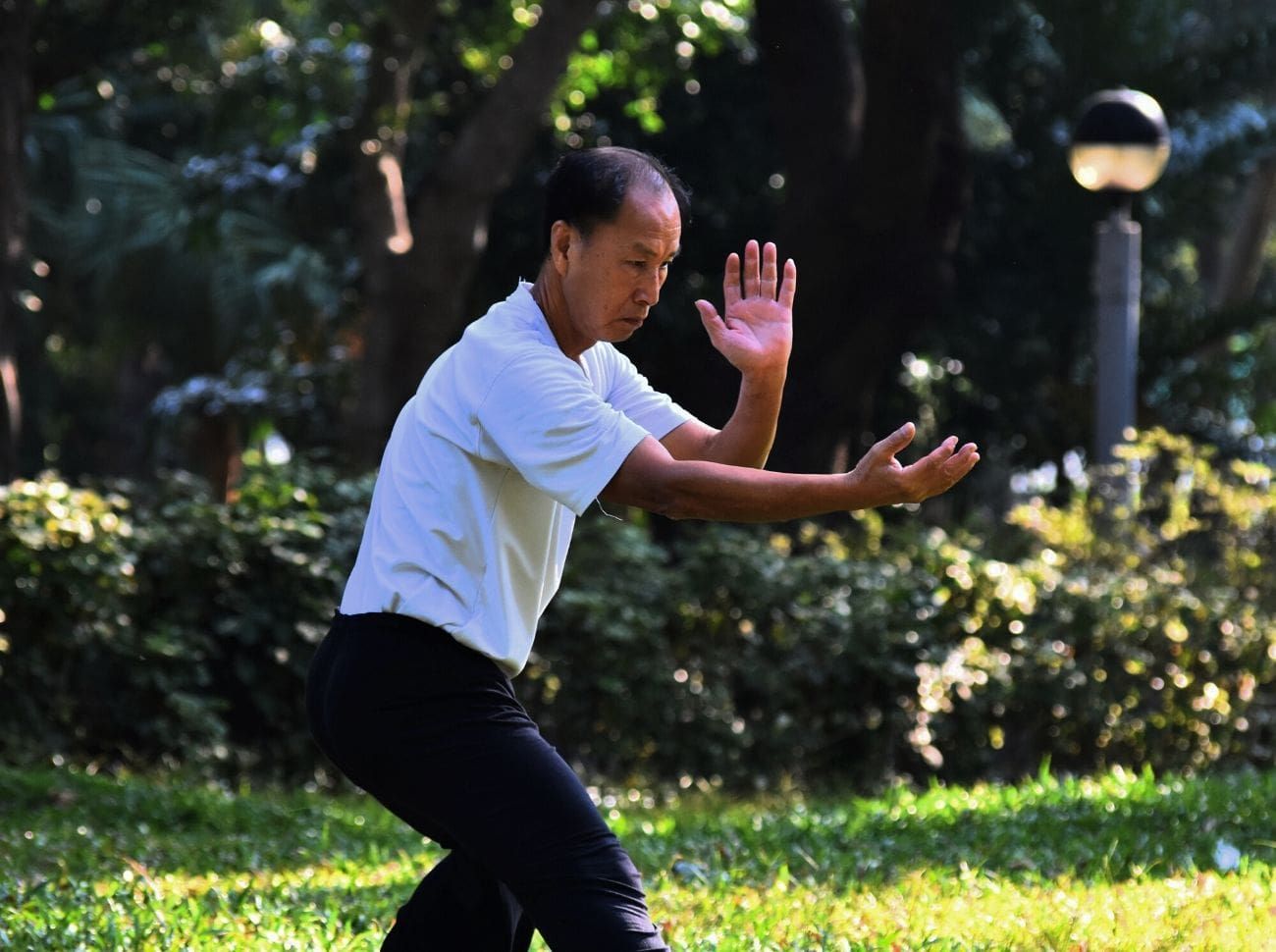 Tai Chi in the park
